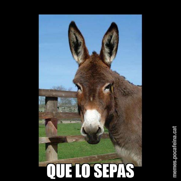 QUE LO SEPAS - El burro Català