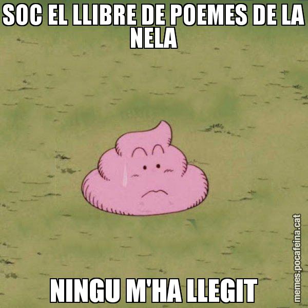 SOC EL LLIBRE DE POEMES DE LA NELA NINGU M'HA LLEGIT - Caca