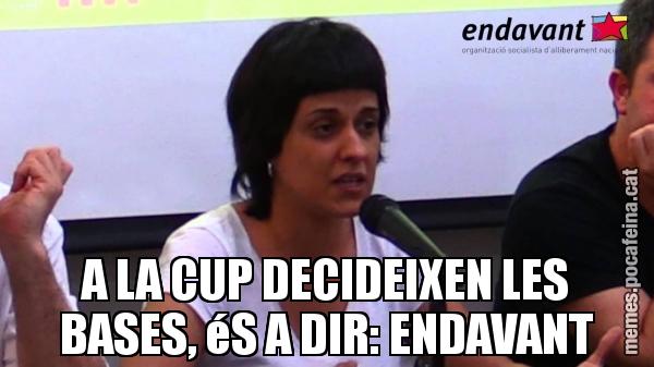 A LA CUP DECIDEIXEN LES BASES, éS A DIR: ENDAVANT