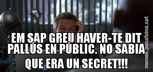 EM SAP GREU HAVER-TE DIT PALLÚS EN PÚBLIC. NO SABIA QUE ERA UN SECRET!!!