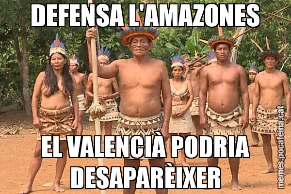 DEFENSA L'AMAZONES EL VALENCIÀ PODRIA DESAPARÈIXER