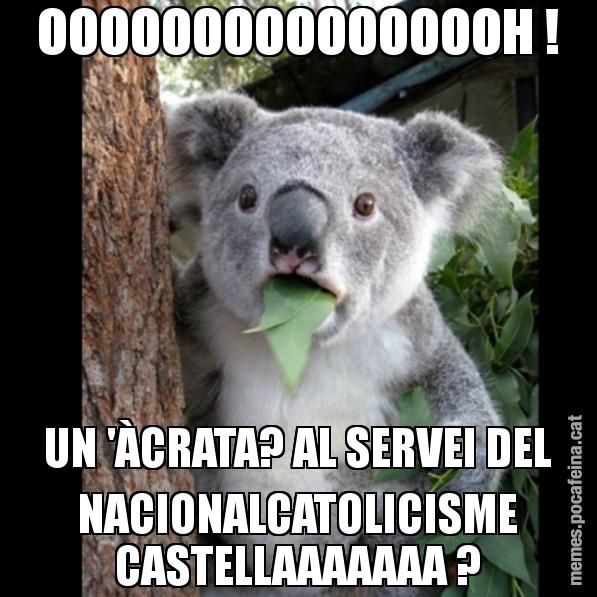 OOOOOOOOOOOOOOOH ! UN 'ÀCRATA? AL SERVEI DEL NACIONALCATOLICISME CASTELLAAAAAAA ? - Koala Cant Believe It