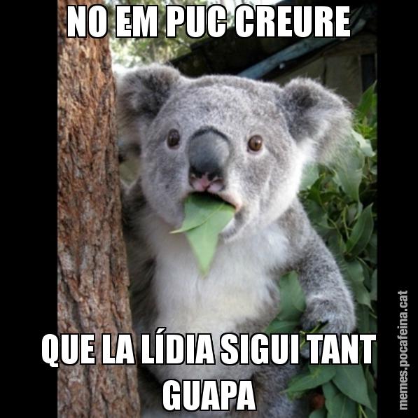 NO EM PUC CREURE QUE LA LÍDIA SIGUI TANT GUAPA - Koala Cant Believe It