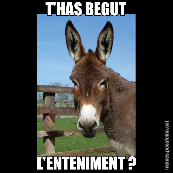 T'HAS BEGUT L'ENTENIMENT ? - El burro Català