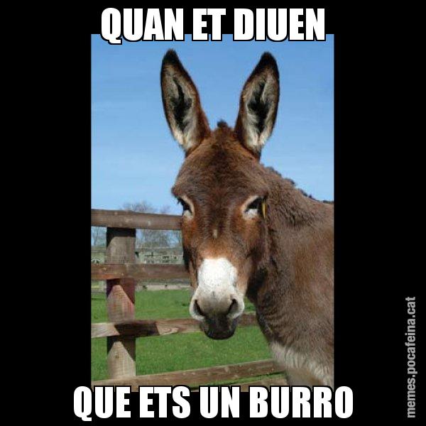 QUAN ET DIUEN QUE ETS UN BURRO - El burro Català