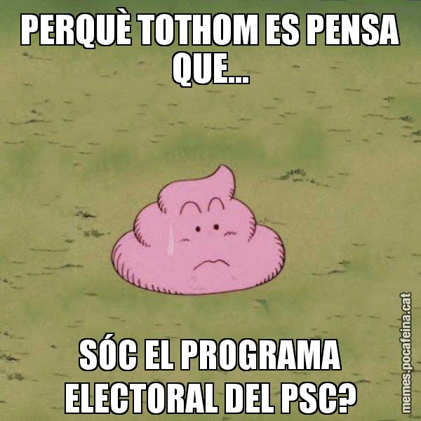 PERQUÈ TOTHOM ES PENSA QUE... SÓC EL PROGRAMA ELECTORAL DEL PSC? - Caca