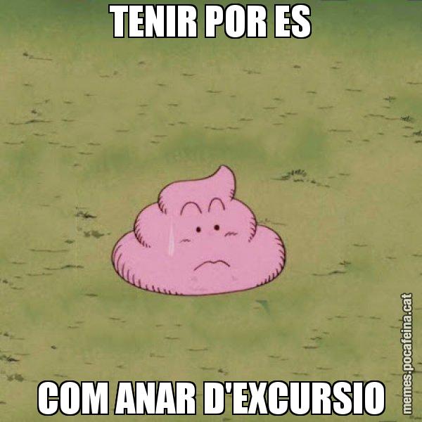 TENIR POR ES COM ANAR D'EXCURSIO - Caca