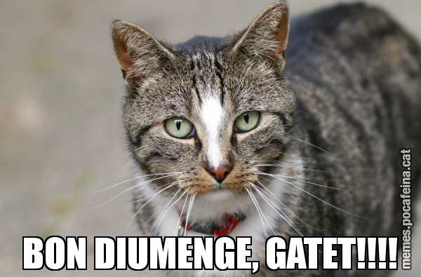 BON DIUMENGE, GATET!!!!