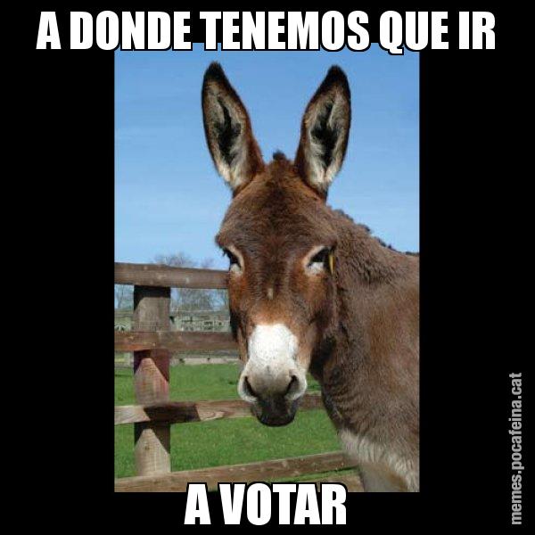A DONDE TENEMOS QUE IR A VOTAR - El burro Català