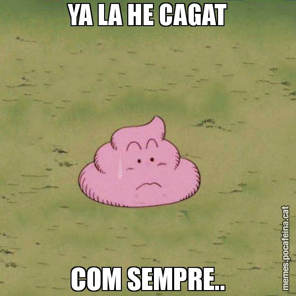 YA LA HE CAGAT COM SEMPRE.. - Caca