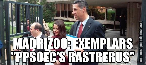 MADRIZOO: EXEMPLARS "PPSOEC'S RASTRERUS"
