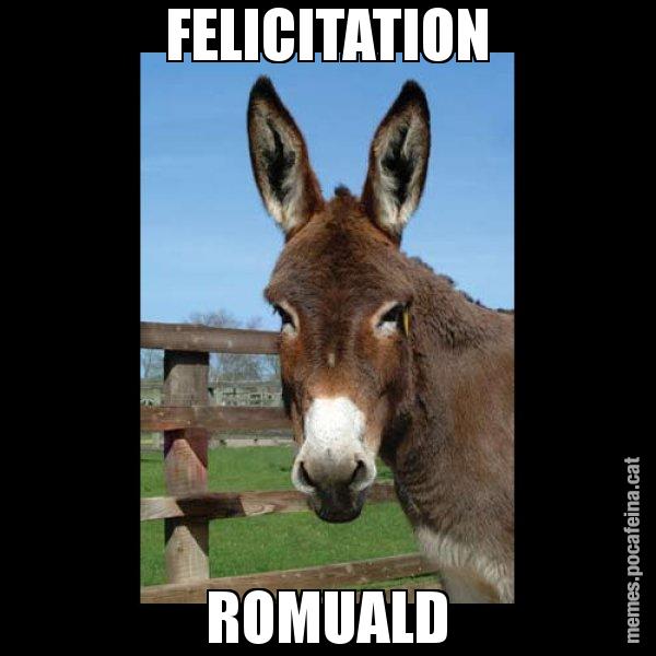 FELICITATION ROMUALD - El burro Català