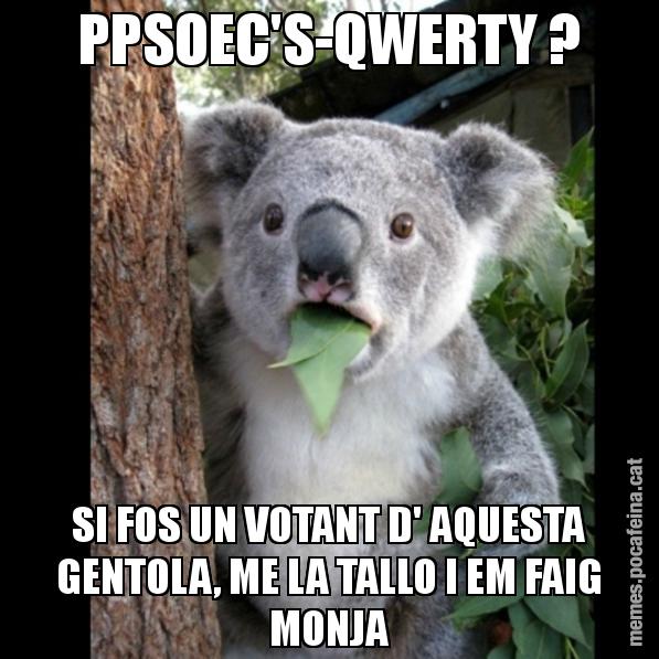 PPSOEC'S-QWERTY ? SI FOS UN VOTANT D' AQUESTA GENTOLA, ME LA TALLO I EM FAIG MONJA - Koala Cant Believe It