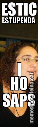 ESTIC ESTUPENDA  I HO SAPS