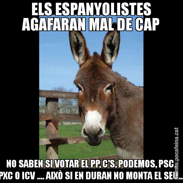 ELS ESPANYOLISTES AGAFARAN MAL DE CAP NO SABEN SI VOTAR EL PP, C'S, PODEMOS, PSC, PXC O ICV .... AIXÒ SI EN DURAN NO MONTA EL SEU... - El burro Català