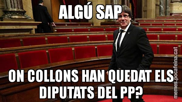 ALGÚ SAP ON COLLONS HAN QUEDAT ELS DIPUTATS DEL PP?