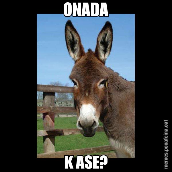 ONADA K ASE? - El burro Català