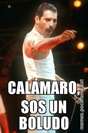 CALAMARO, SOS UN BOLUDO
