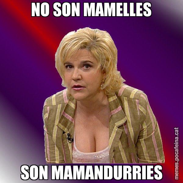 NO SON MAMELLES SON MAMANDURRIES - Pilar Rahola