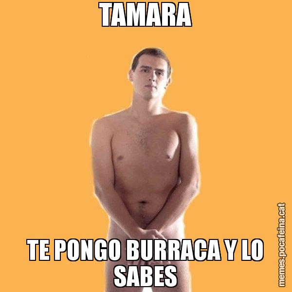 TAMARA TE PONGO BURRACA Y LO SABES - Albert Rivera