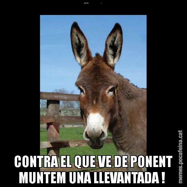 BON 2015                                         I CONTRA EL QUE VE DE PONENT MUNTEM UNA LLEVANTADA ! - El burro Català