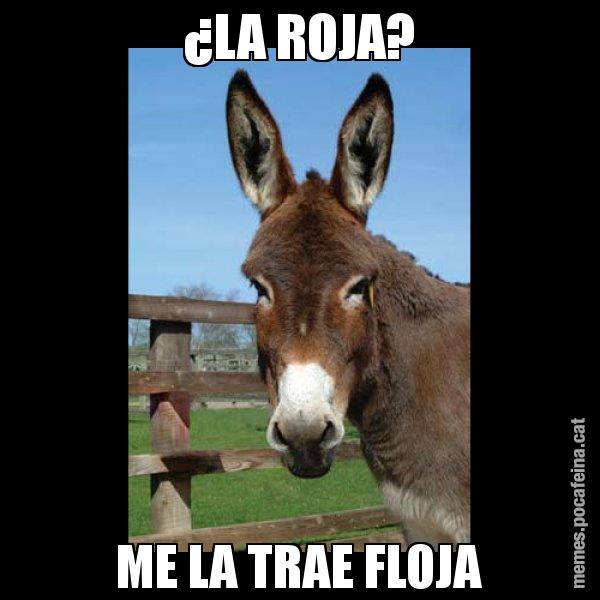 ¿LA ROJA? ME LA TRAE FLOJA - El burro Català