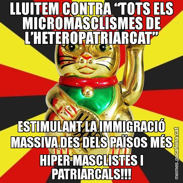 LLUITEM CONTRA “TOTS ELS MICROMASCLISMES DE L’HETEROPATRIARCAT” ESTIMULANT LA IMMIGRACIÓ MASSIVA DES DELS PAÏSOS MÉS HIPER MASCLISTES I PATRIARCALS!!! - El Gat de la Cup - 27S