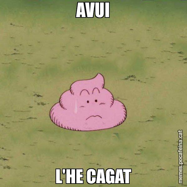 AVUI L'HE CAGAT - Caca
