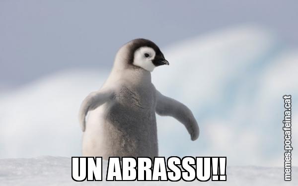 UN ABRASSU!!