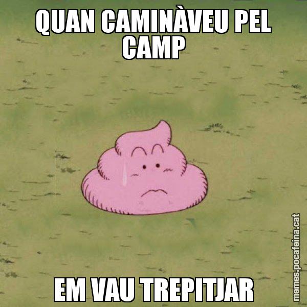 QUAN CAMINÀVEU PEL CAMP EM VAU TREPITJAR - Caca