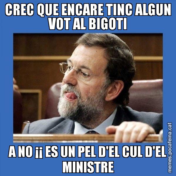 CREC QUE ENCARE TINC ALGUN VOT AL BIGOTI A NO ¡¡ ES UN PEL D'EL CUL D'EL MINISTRE - Mmmmmariano Rajoy