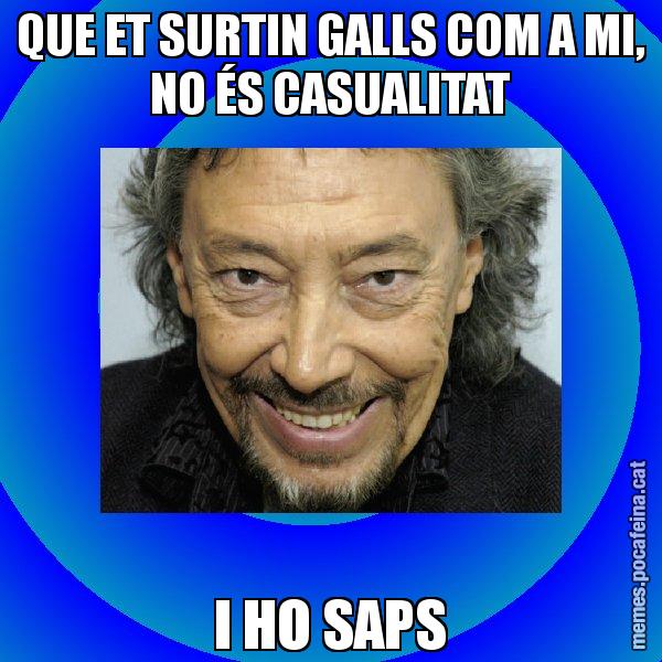 QUE ET SURTIN GALLS COM A MI, NO ÉS CASUALITAT I HO SAPS - Llongueras