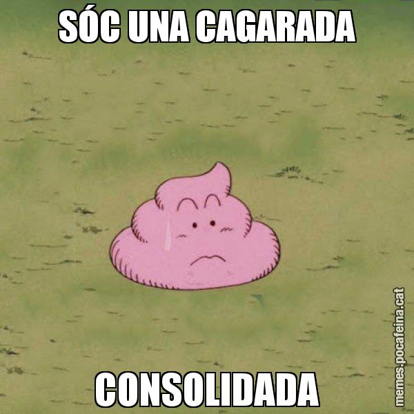 SÓC UNA CAGARADA CONSOLIDADA - Caca