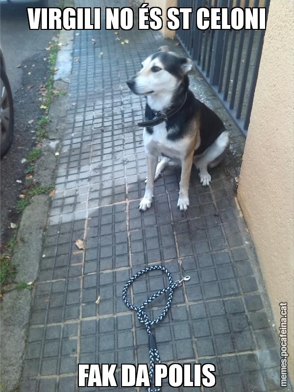 VIRGILI NO ÉS ST CELONI FAK DA POLIS