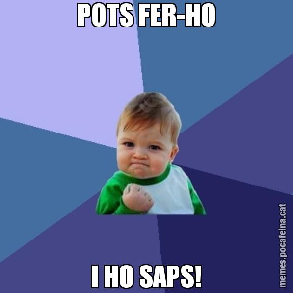 POTS FER-HO I HO SAPS! - Success Kid