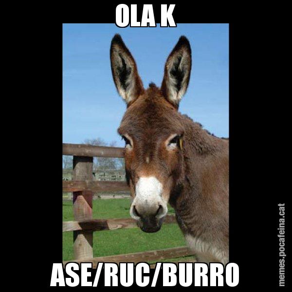 OLA K ASE/RUC/BURRO - El burro Català