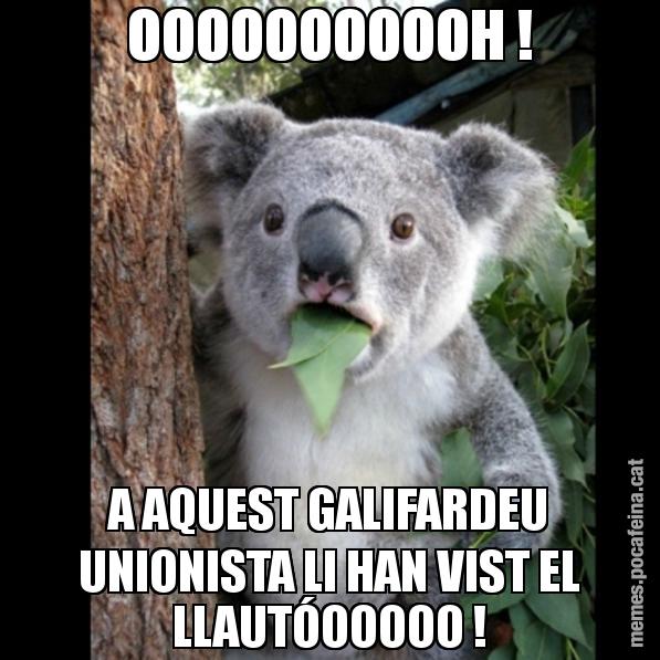 OOOOOOOOOOH ! A AQUEST GALIFARDEU UNIONISTA LI HAN VIST EL LLAUTÓOOOOO ! - Koala Cant Believe It
