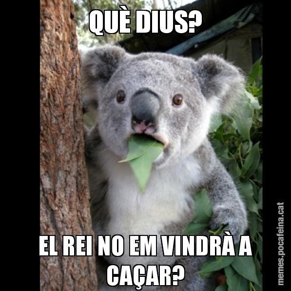 QUÈ DIUS? EL REI NO EM VINDRÀ A CAÇAR? - Koala Cant Believe It