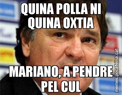 QUINA POLLA NI QUINA OXTIA MARIANO, A PENDRE PEL CUL