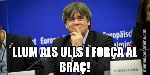 LLUM ALS ULLS I FORÇA AL BRAÇ!