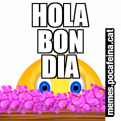 HOLA BON DIA