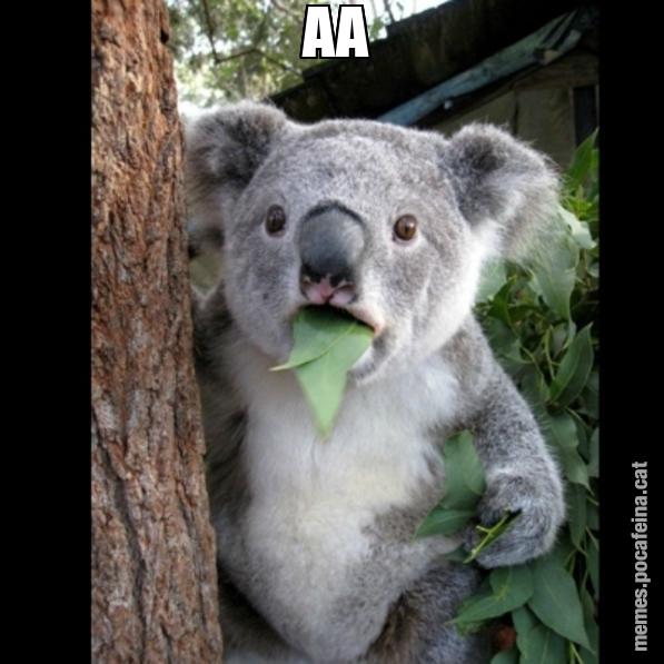 AA - Koala Cant Believe It