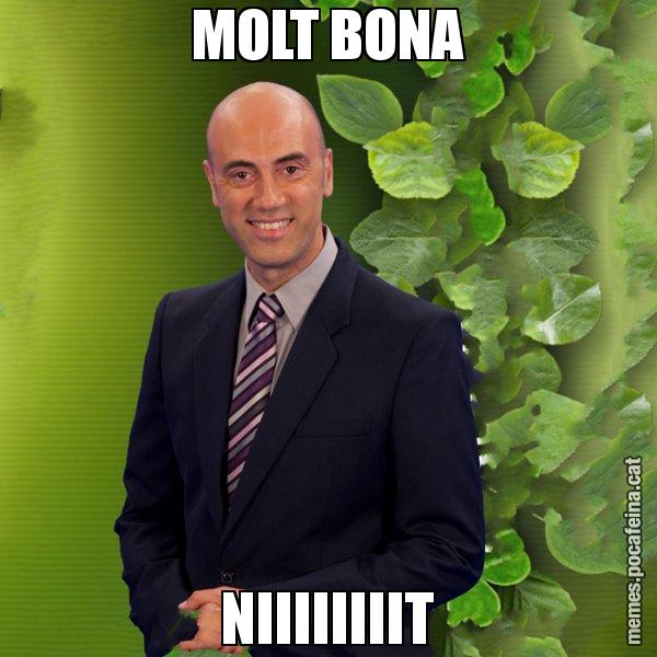MOLT BONA NIIIIIIIIT - Tomàs Molina