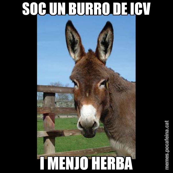 SOC UN BURRO DE ICV I MENJO HERBA - El burro Català