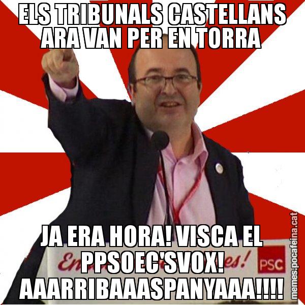 ELS TRIBUNALS CASTELLANS ARA VAN PER EN TORRA JA ERA HORA! VISCA EL PPSOEC'SVOX! AAARRIBAAASPANYAAA!!!! - Miquel Iceta