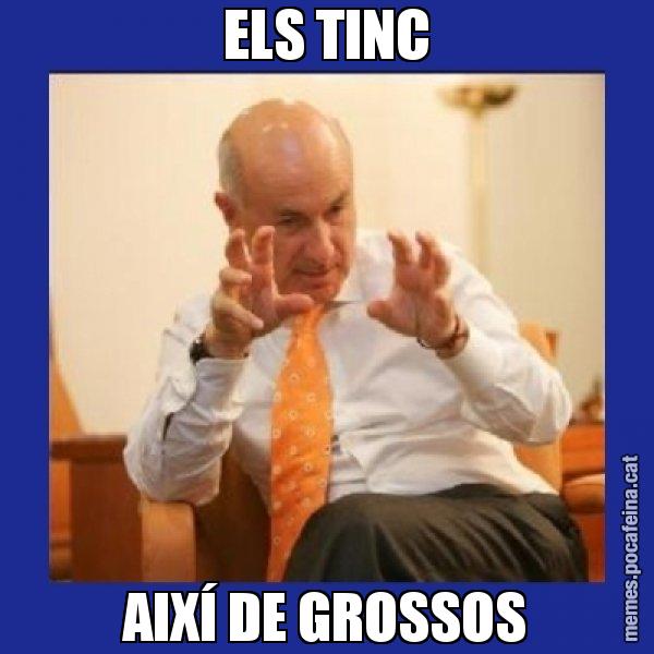ELS TINC AIXÍ DE GROSSOS - Duran i Lleida