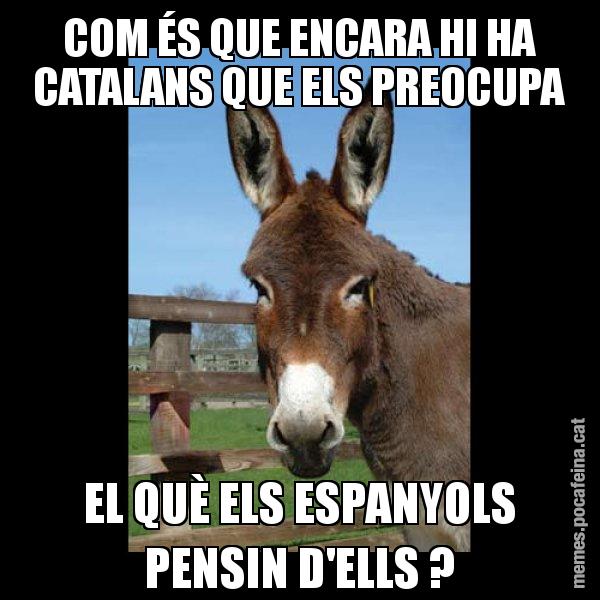 COM ÉS QUE ENCARA HI HA CATALANS QUE ELS PREOCUPA EL QUÈ ELS ESPANYOLS PENSIN D'ELLS ? - El burro Català