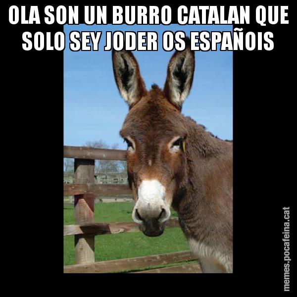 OLA SON UN BURRO CATALAN QUE SOLO SEY JODER OS ESPAÑOIS - El burro Català