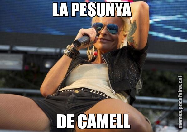 LA PESUNYA  DE CAMELL