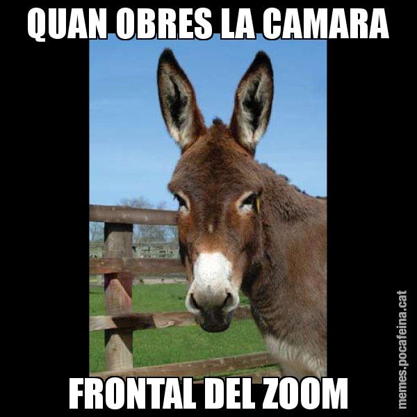 QUAN OBRES LA CAMARA FRONTAL DEL ZOOM - El burro Català